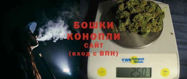 эйфоретик Горняк