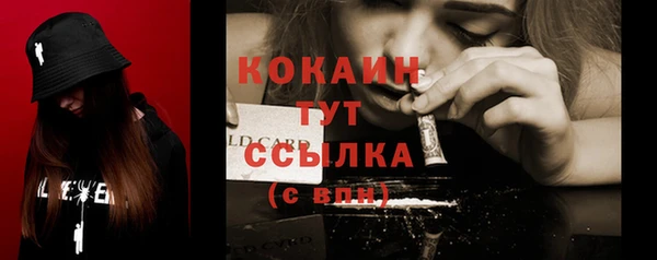 крисы Гусев