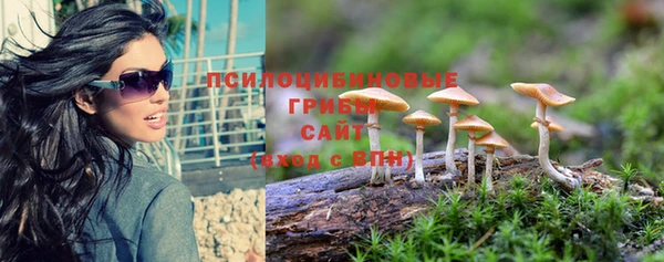 mdma Горнозаводск