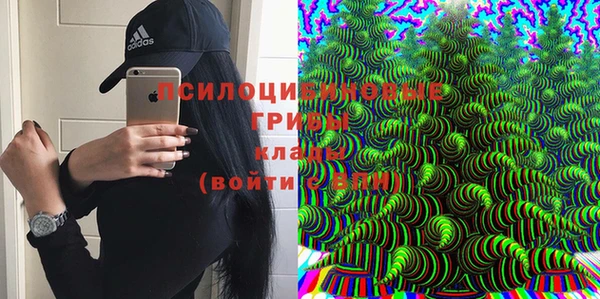 прущая мука Горно-Алтайск