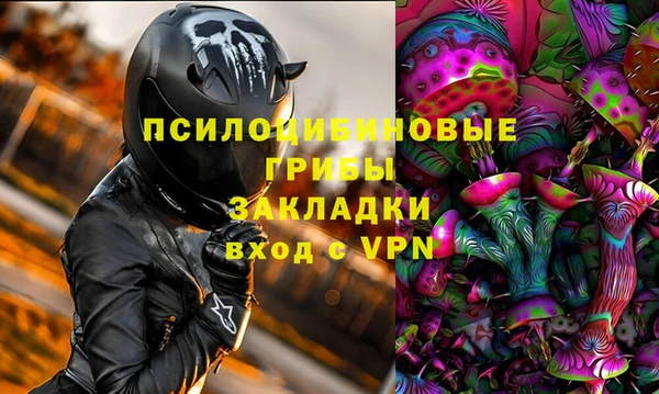 эйфоретик Горняк