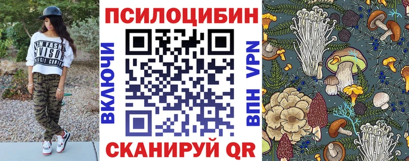 Галлюциногенные грибы мицелий  Купить  Заринск 